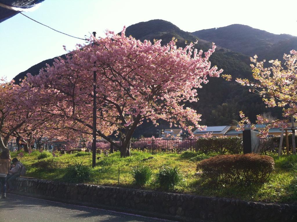 Hareya Hotel Shimoda  Luaran gambar
