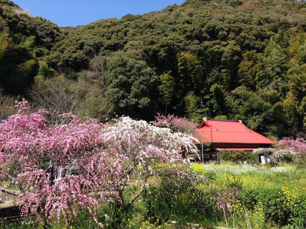 Hareya Hotel Shimoda  Luaran gambar